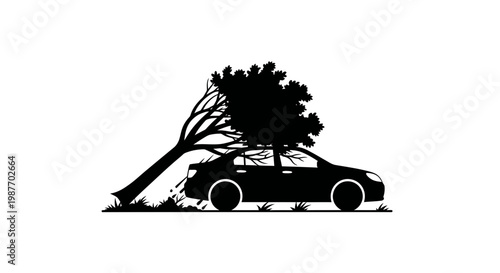 Silhouette of a tree fallen on a sedan car after a storm