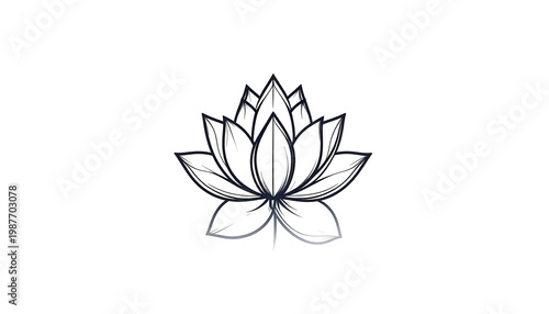 Elegant line art illustration of a blooming lotus flower on a white background