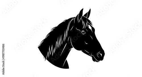 Elegant Black Horse Head Vector Illustration Silhouette