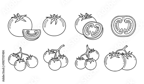 Tomato Vegetable Doodle Icon Set Hand Drawn Outline Fresh Food Vector Illustration