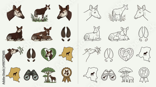 Collection of Okapi illustrations, including full body, headshots, footprints, and national park symbols.