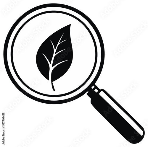 Leaf under a magnifying glass illustrates ecological search, study of plants or scientific research related to nature