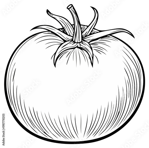 Black and white illustration of a fresh tomato