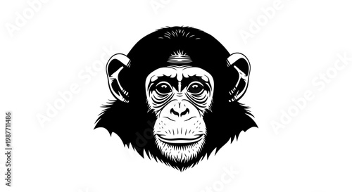 Chimpanzee Head Vector Illustration in Black and White