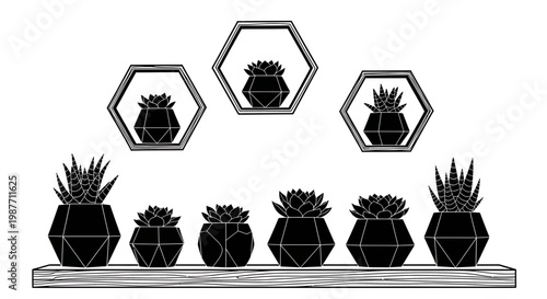 Vector Silhouettes of Succulents in Geometric Pots on Shelves