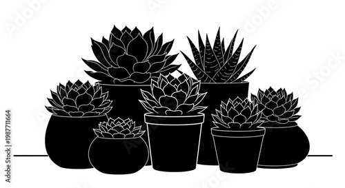 Black Silhouette Succulent Plants in Pots Vector Illustration