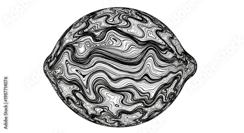 Abstract Lemon Shaped Object with Wavy Contour Lines on Isolated White Background