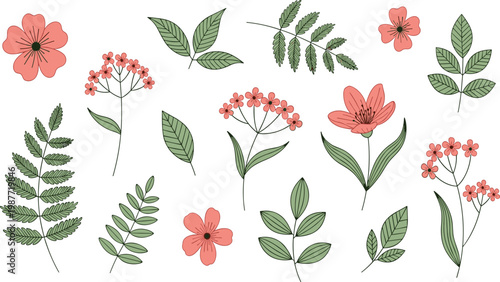 Set of hand drawn pink wildflowers and green leaves vector illustration for spring botanical garden