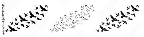 Flying birds silhouette set, black eagle and hawk flock vector icons, soaring bird of prey outlines for wildlife and nature design