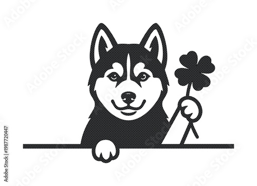 Siberian husky dog peeking over edge holding four leaf clover, lucky husky puppy vector illustration, black and white pet mascot for Saint Patricks Day