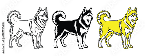 Siberian Husky dog vector set, standing Alaskan Malamute silhouettes in black and yellow, three sled dog breed illustrations for pet logo design