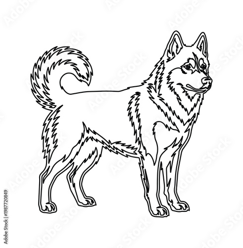 Siberian Husky line art vector, standing sled dog outline, minimalist pet animal illustration