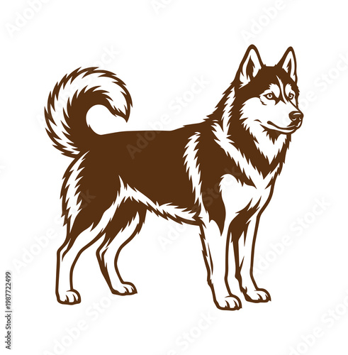 Siberian Husky dog vector illustration, brown husky breed mascot, standing sled dog profile