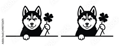 Siberian Husky dog holding four leaf clover, black and white husky vector, lucky pet illustration