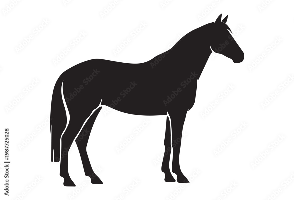 Fototapeta premium Horse silhouette isolated on white background