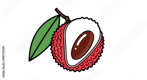 Longan fruit with green leaf.