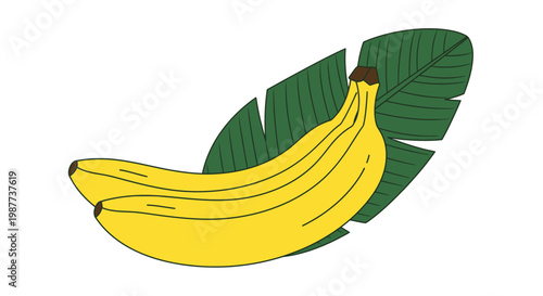 Bananas fruit yellow tropical sweet.