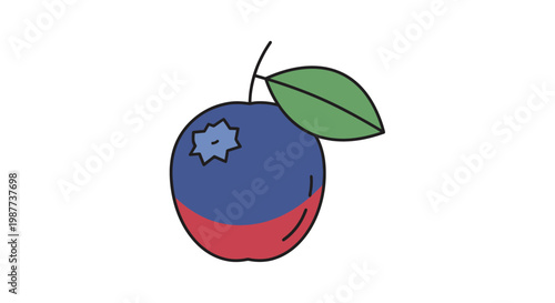 Colorful illustration of a blueberry fruit.