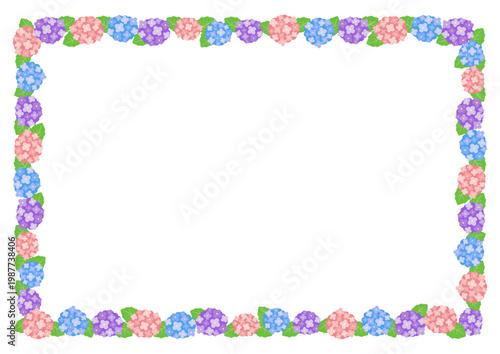 紫陽花の華やかなフレーム 梅雨の花背景素材