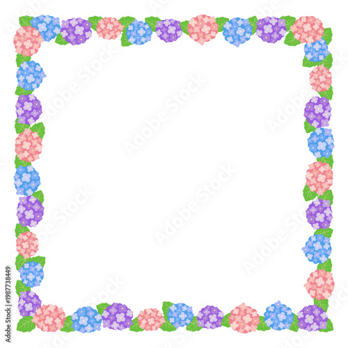 紫陽花の華やかなフレーム 梅雨の花背景素材 正方形