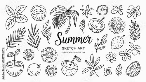 A collection of hand drawn tropical elements including palm leaves coconuts citrus fruits and flowers arranged in a summery sketch style high quality professional detailed modern