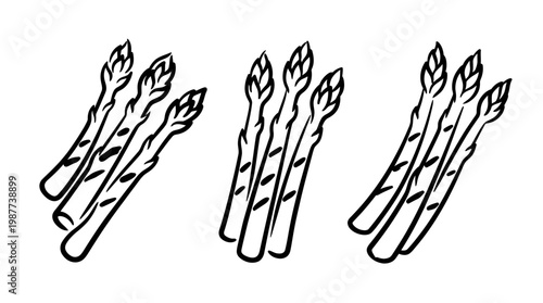 Fresh Black and White Asparagus Sketches