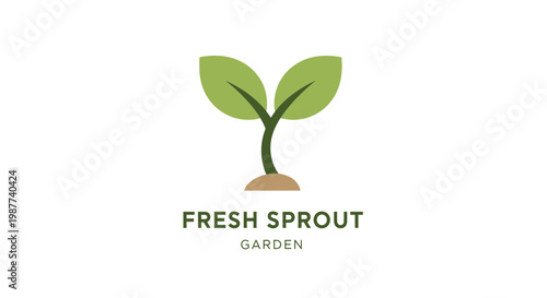 Green sprout with two leaves growing 1.