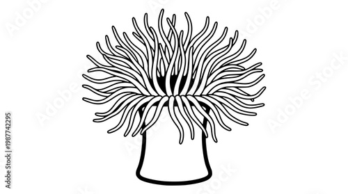 Black and white vector illustration of a jellyfish