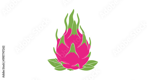 Vibrant Pink Dragon Fruit Illustration.