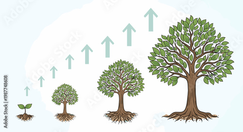 Visual representation of a tree's life cycle from a small sprout to a large, mature tree, symbolizing growth and development.