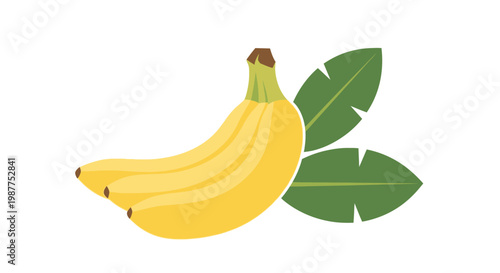 Bunch of Yellow Ripe Bananas Fruit.