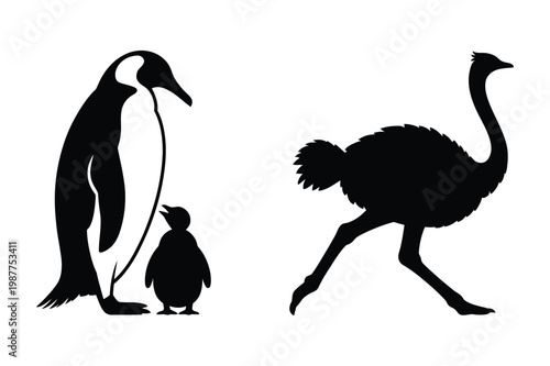 Penguin with chick and ostrich silhouette, black and white illustration