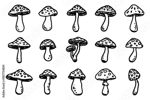 Hand drawn mushroom doodle set Botanical illustration Cute autumn mushroom Healthy eco food Organic vegetarian food For stickers, greeting card, design, print, packaging, decor, kids books