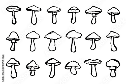 Hand drawn mushroom doodle set Botanical illustration Cute autumn mushroom Healthy eco food Organic vegetarian food For stickers, greeting card, design, print, packaging, decor, kids books