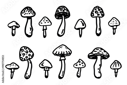Hand drawn mushroom doodle set Botanical illustration Cute autumn mushroom Healthy eco food Organic vegetarian food For stickers, greeting card, design, print, packaging, decor, kids books