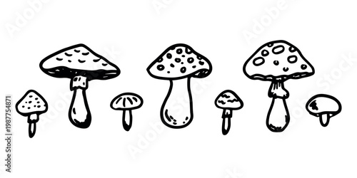 Hand drawn mushroom doodle set Botanical illustration Cute autumn mushroom Healthy eco food Organic vegetarian food For stickers, greeting card, design, print, packaging, decor, kids books
