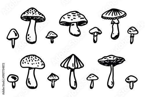 Hand drawn mushroom doodle set Botanical illustration Cute autumn mushroom Healthy eco food Organic vegetarian food For stickers, greeting card, design, print, packaging, decor, kids books