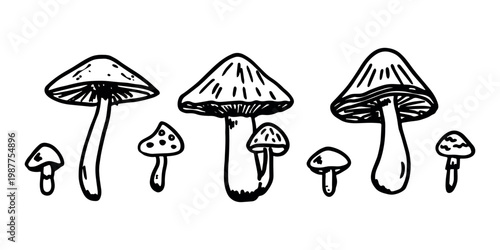 Hand drawn mushroom doodle set Botanical illustration Cute autumn mushroom Healthy eco food Organic vegetarian food For stickers, greeting card, design, print, packaging, decor, kids books