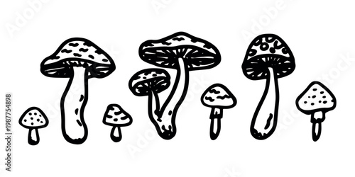 Hand drawn mushroom doodle set Botanical illustration Cute autumn mushroom Healthy eco food Organic vegetarian food For stickers, greeting card, design, print, packaging, decor, kids books