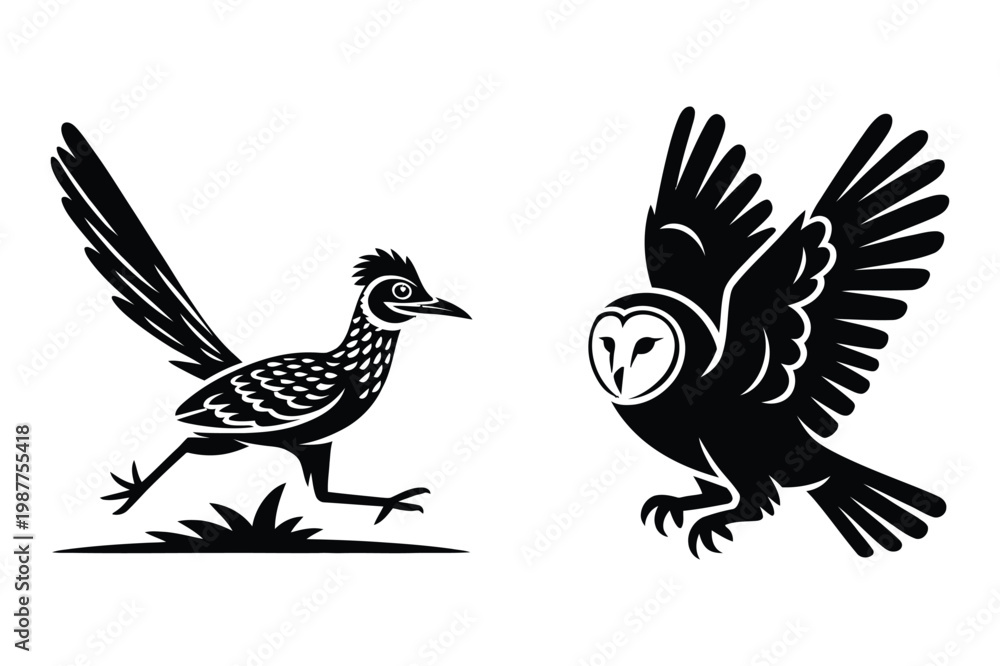 Fototapeta premium Roadrunner running and barn owl in flight, black and white illustration