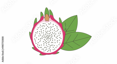 Dragon Fruit Half Cut Open.