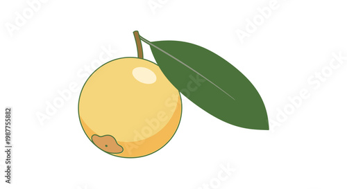 Fresh Yellow Fruit with Green Leaf.