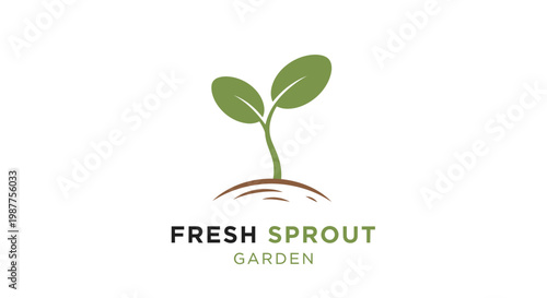 Green sprout growing from soil 1.