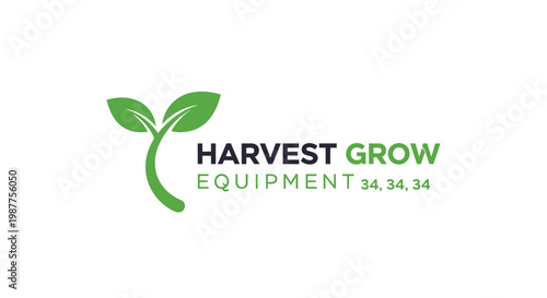 Green sprout with two leaves growing.