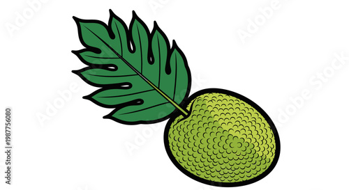 Lime Fruit With Green Leafy Top.