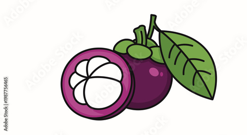 Purple Mangosteen Fruit with Green Leaves.