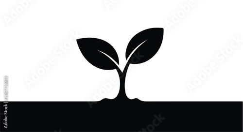 Sprout grows from the dark soil representing nature and the beginning of a sustainable life cycle.