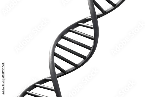Black DNA Double Helix Model Genetic Structure Biology Science Decor
