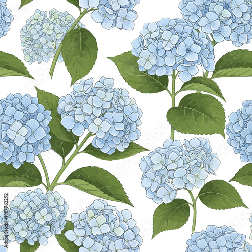 Delicate hydrangea floral pattern a seamless botanical illustration