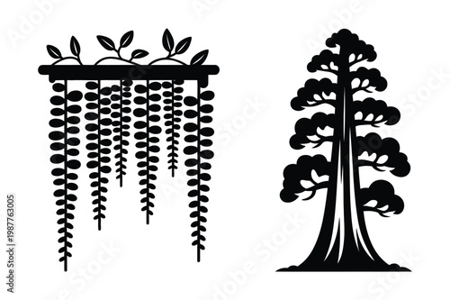 Black silhouette vector illustrations of wisteria plant and sequoia tree